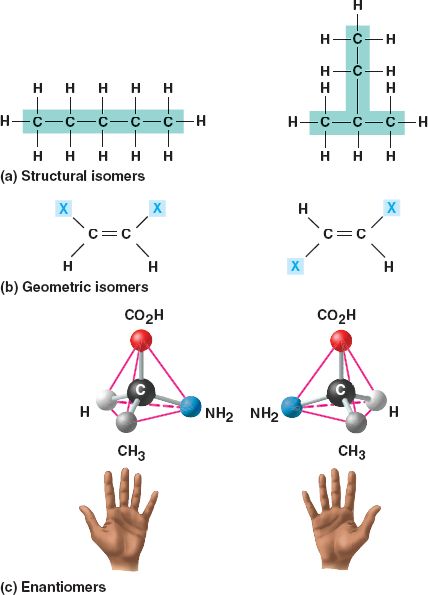 Isomers Of C5H12