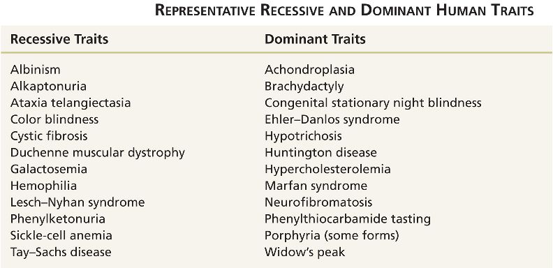 human-traits-html-03-t04-human-traits-jpg