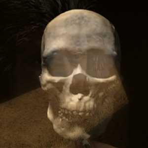 Peking man Peking man