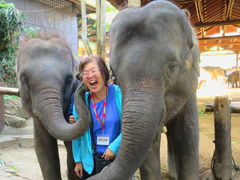 Maesa Elephant Training Camp