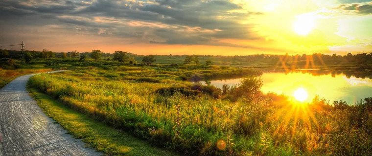 iNaturalist Project Danada Forest Preserve