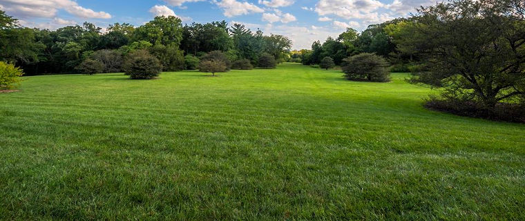 iNaturalist Project Morton Arboretum